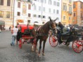 /album/fenykepgaleria/roma2010-160-1-jpg/